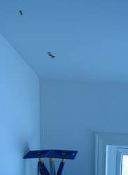 HoleSmall